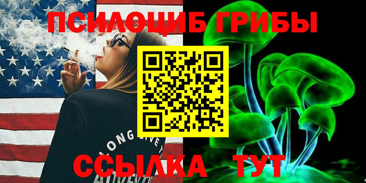 Галлюциногенные грибы Psilocybe Кропоткин