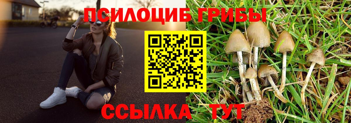 Псилоцибиновые грибы Psilocybine cubensis  Вход с VPN  Псилоцибиновые грибы GOLDEN TEACHER  Кропоткин 